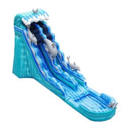 JCXD WS19D 01 1675193380 Dolphin 19ft Slide (Wet/ Dry)