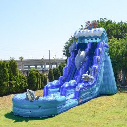 JCXD WS19D 02 1675193380 Dolphin 19ft Slide (Wet/ Dry)