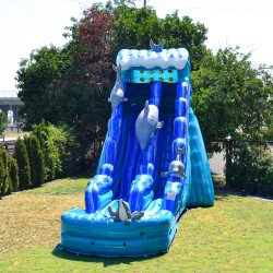 JCXD WS19D 04 1675193380 Dolphin 19ft Slide (Wet/ Dry)